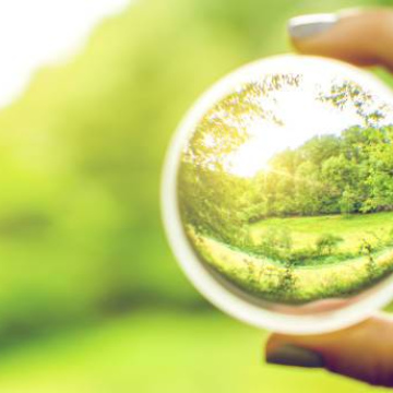 FORMATION  : Les mécanismes traumatiques : les comprendre pour les accompagner Du 02 au 03 février 2026